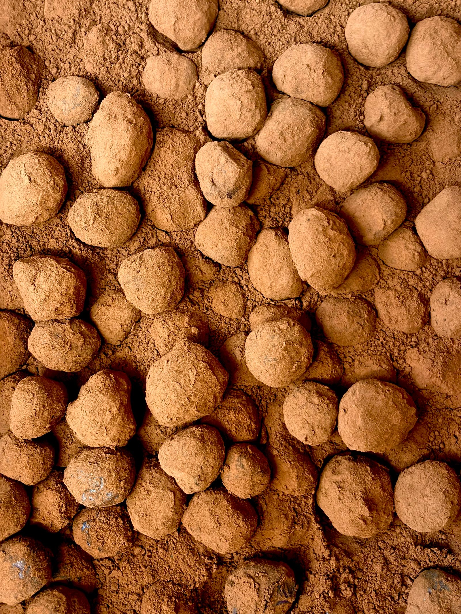 Tartufini2520al2520cioccolato2520vegani 1
